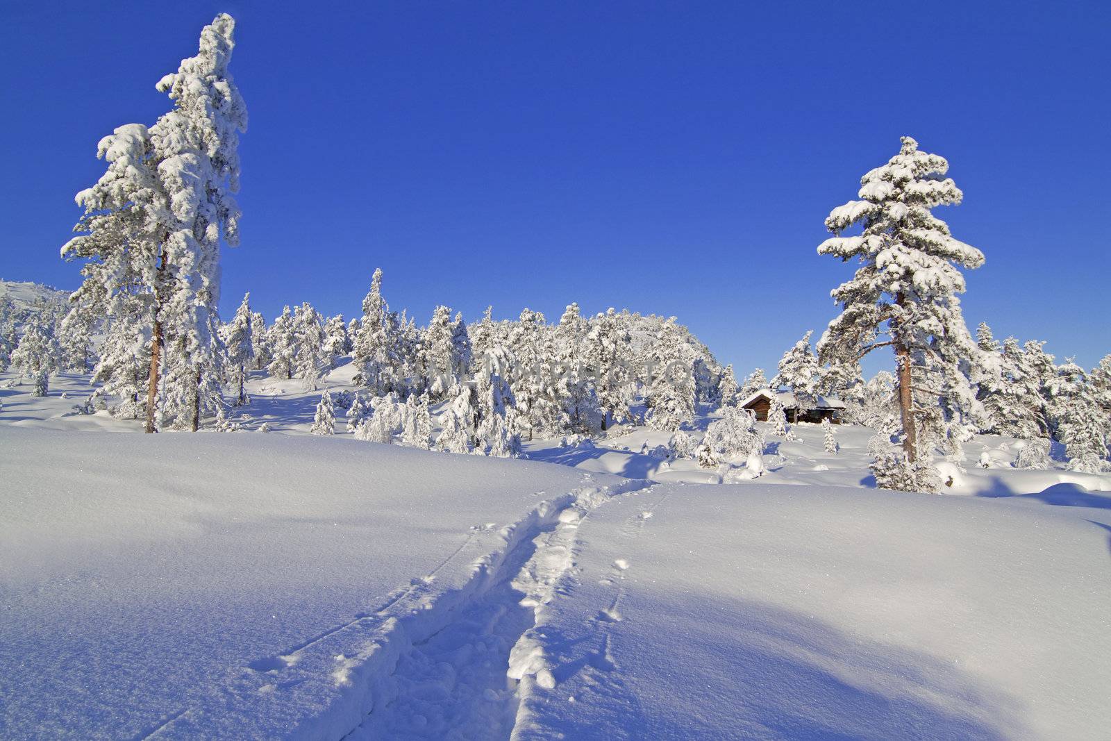 Winter landscape from Gautefall, Norway
