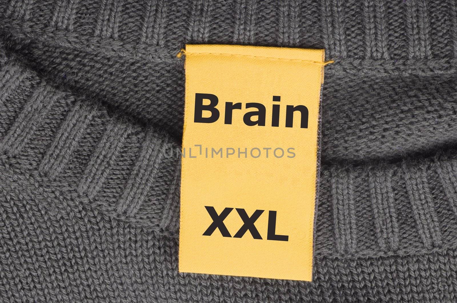 education concept with the word brain on a fashion label or tag and copyspace