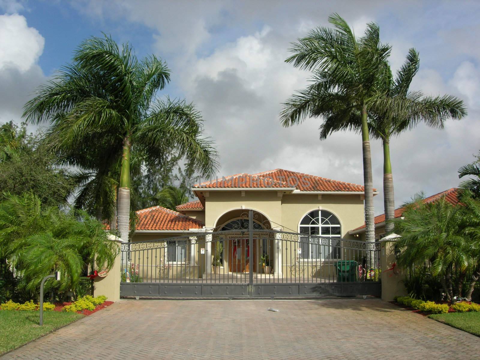  Mediterranean House With Colums, Iron Gate and Beautiful Palms Landscaping          