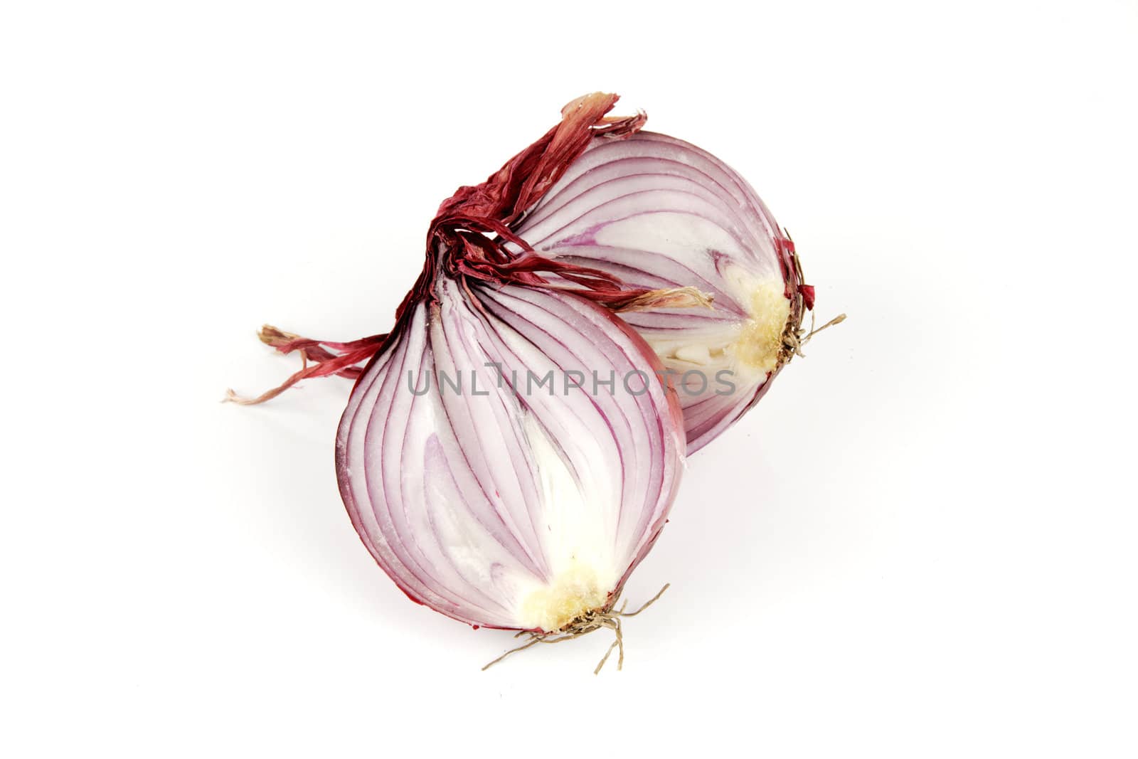 Raw red onion cut in half on a reflective white background
