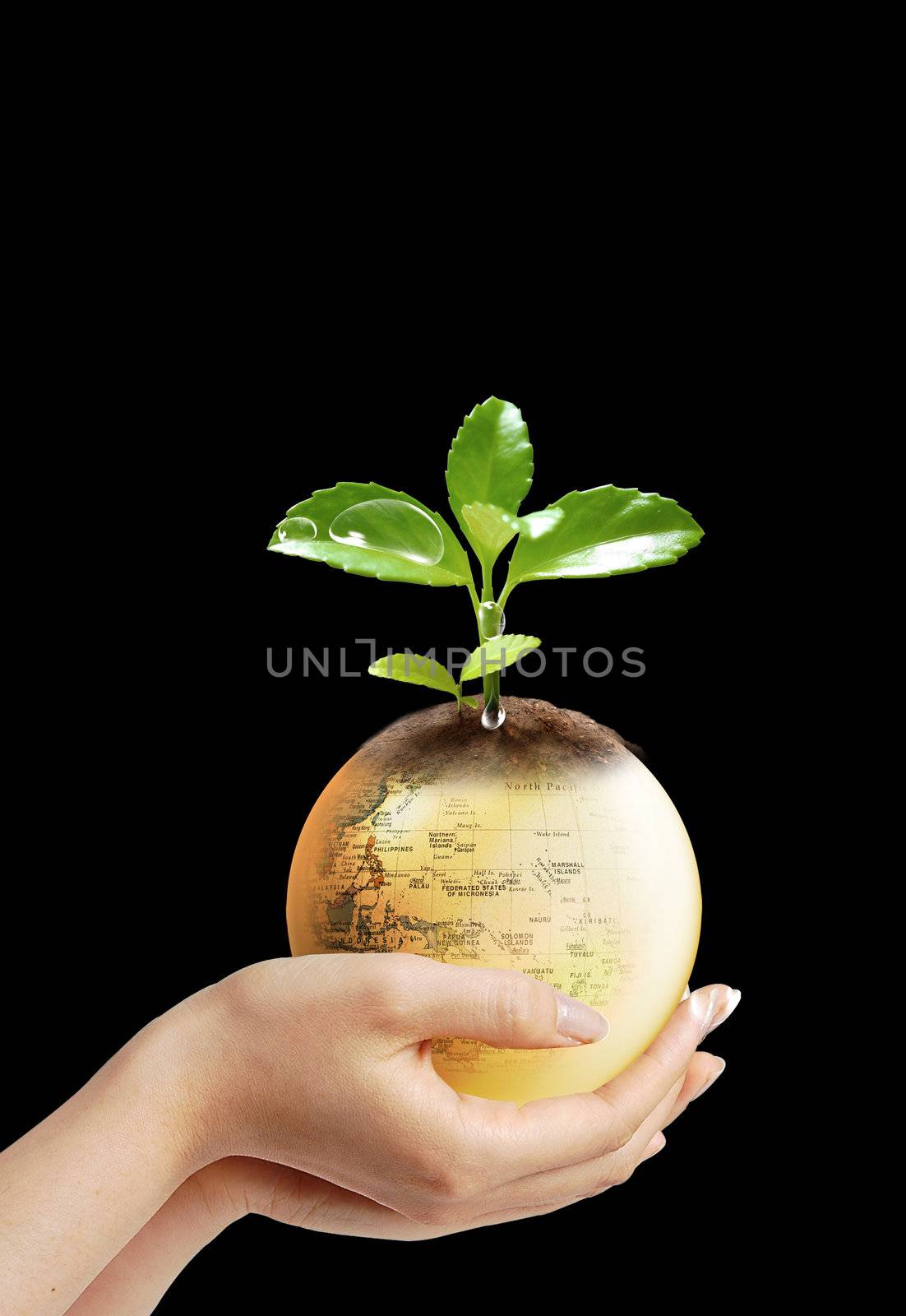 Here you can see nice earth in woman's hands 