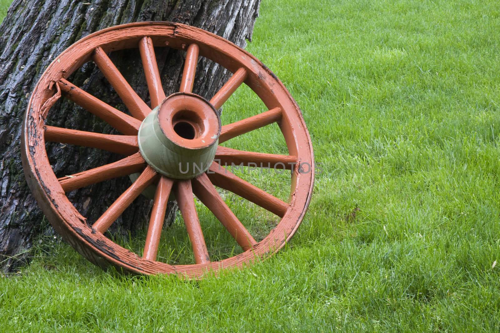old, wheathered wagon wheel painted orange against green grass in rain