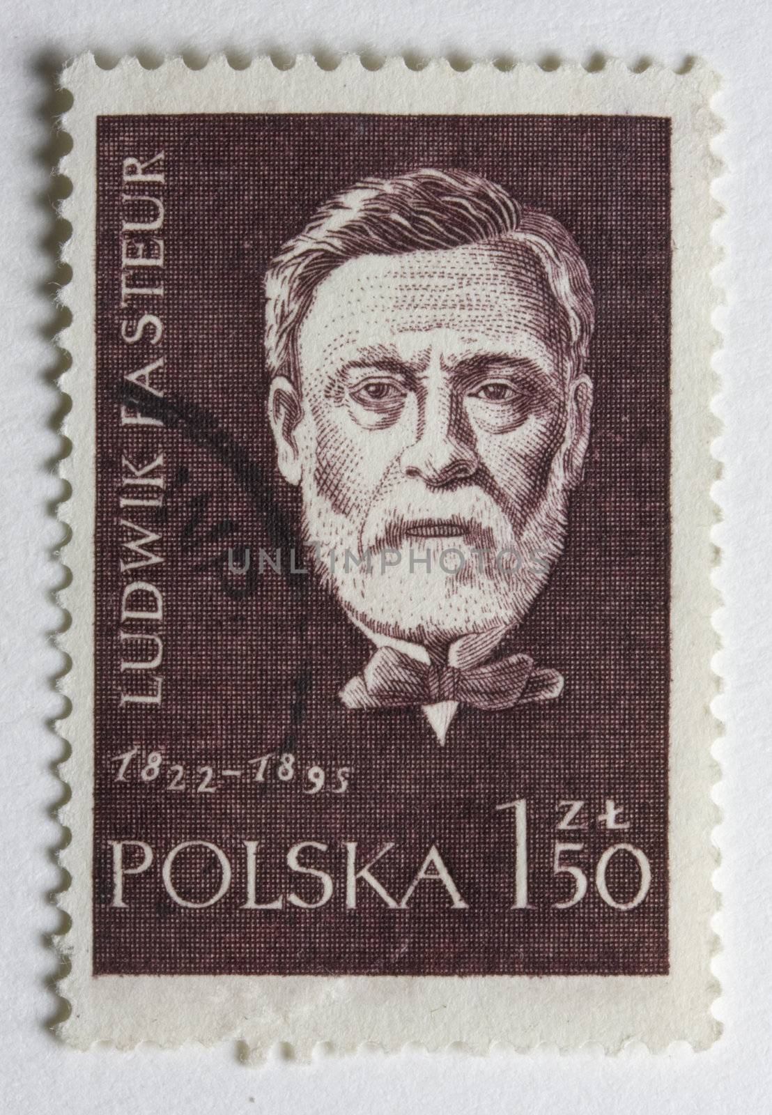 Portrait of Louis Pasteur, French chemist and microbiologist,  on a vintage post stamp from Poland