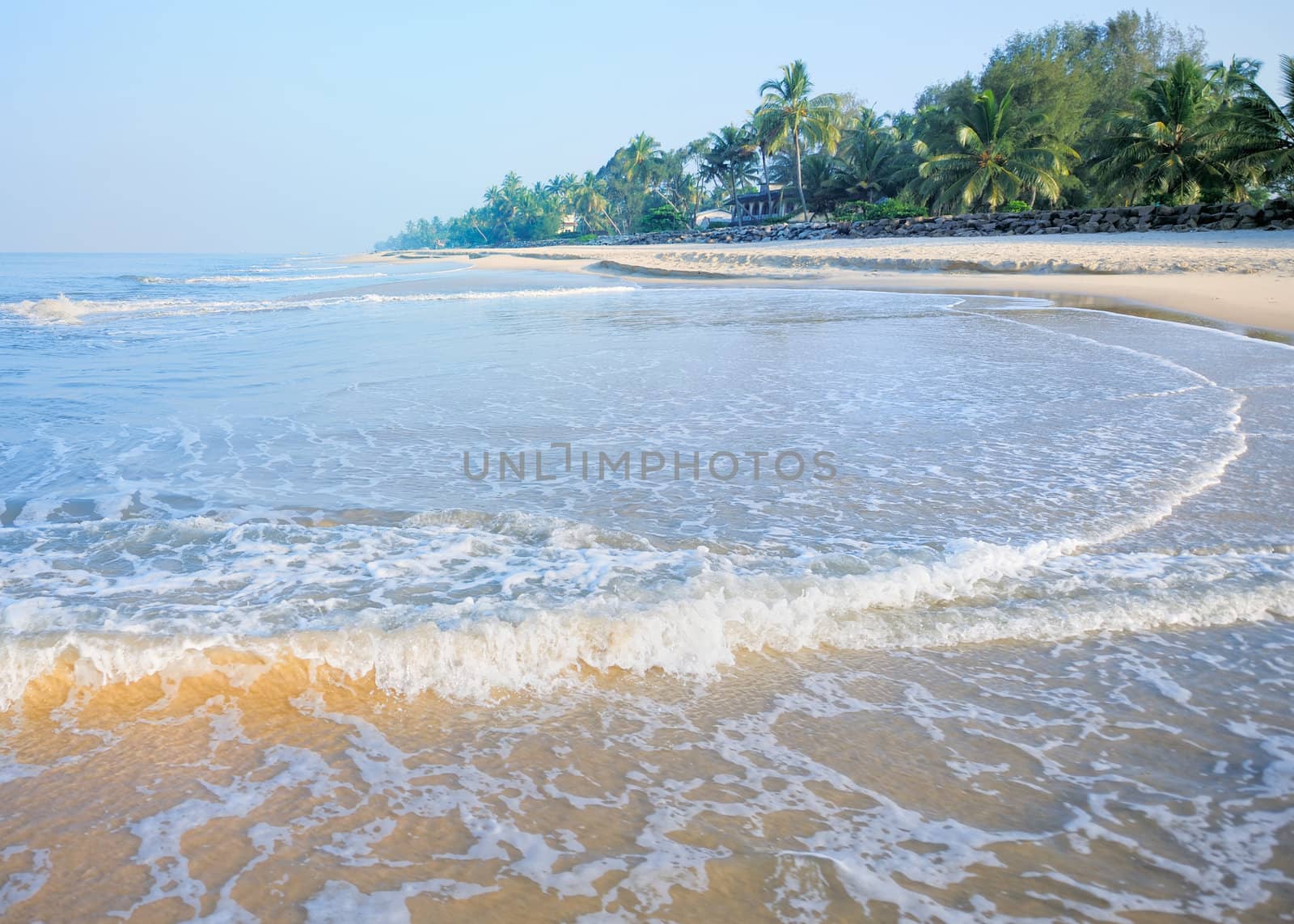 Surf on the sandy shore of the ocean