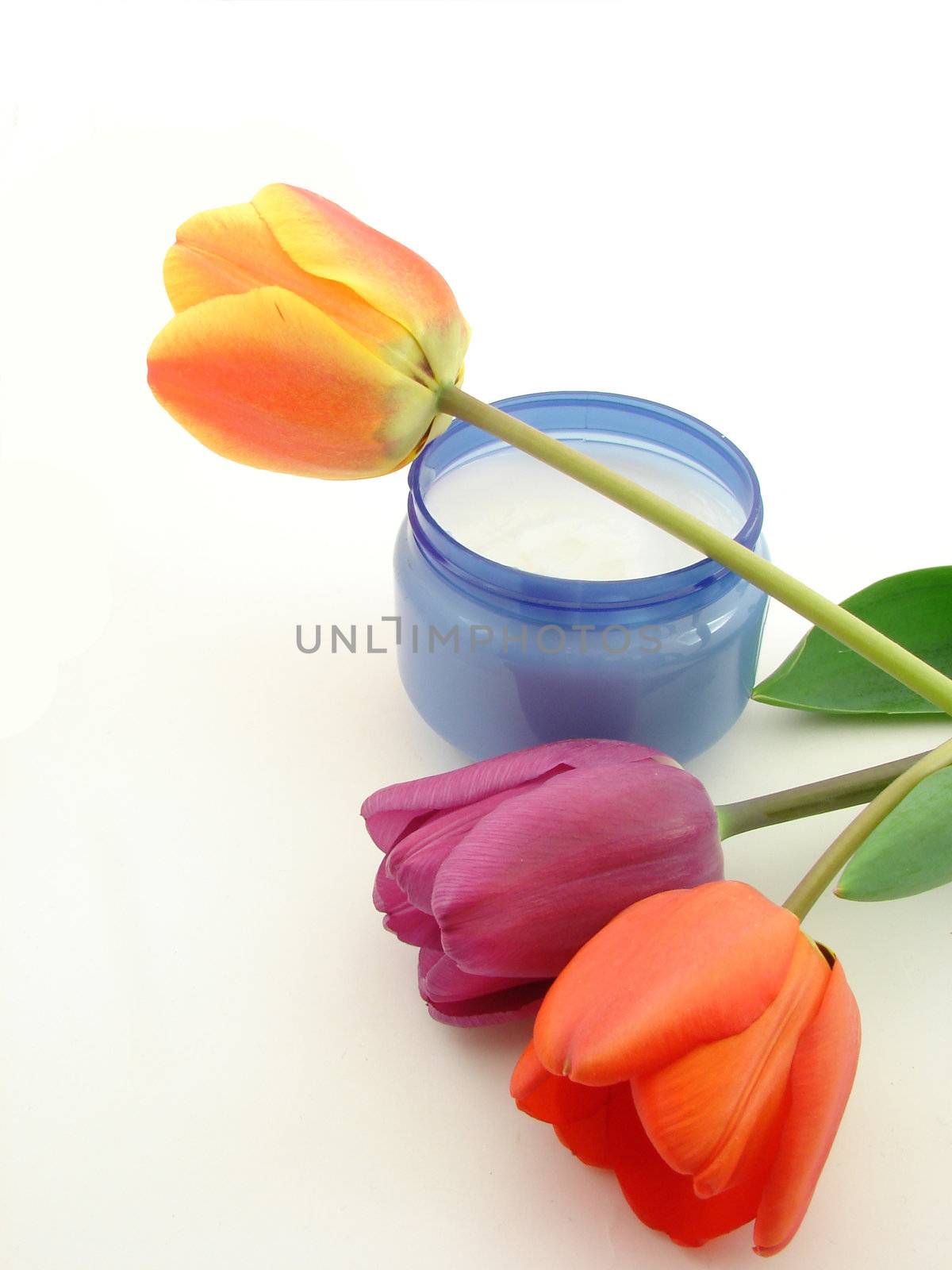Tulip flowers and cream isolated over white, concept of beauty and bodycare.