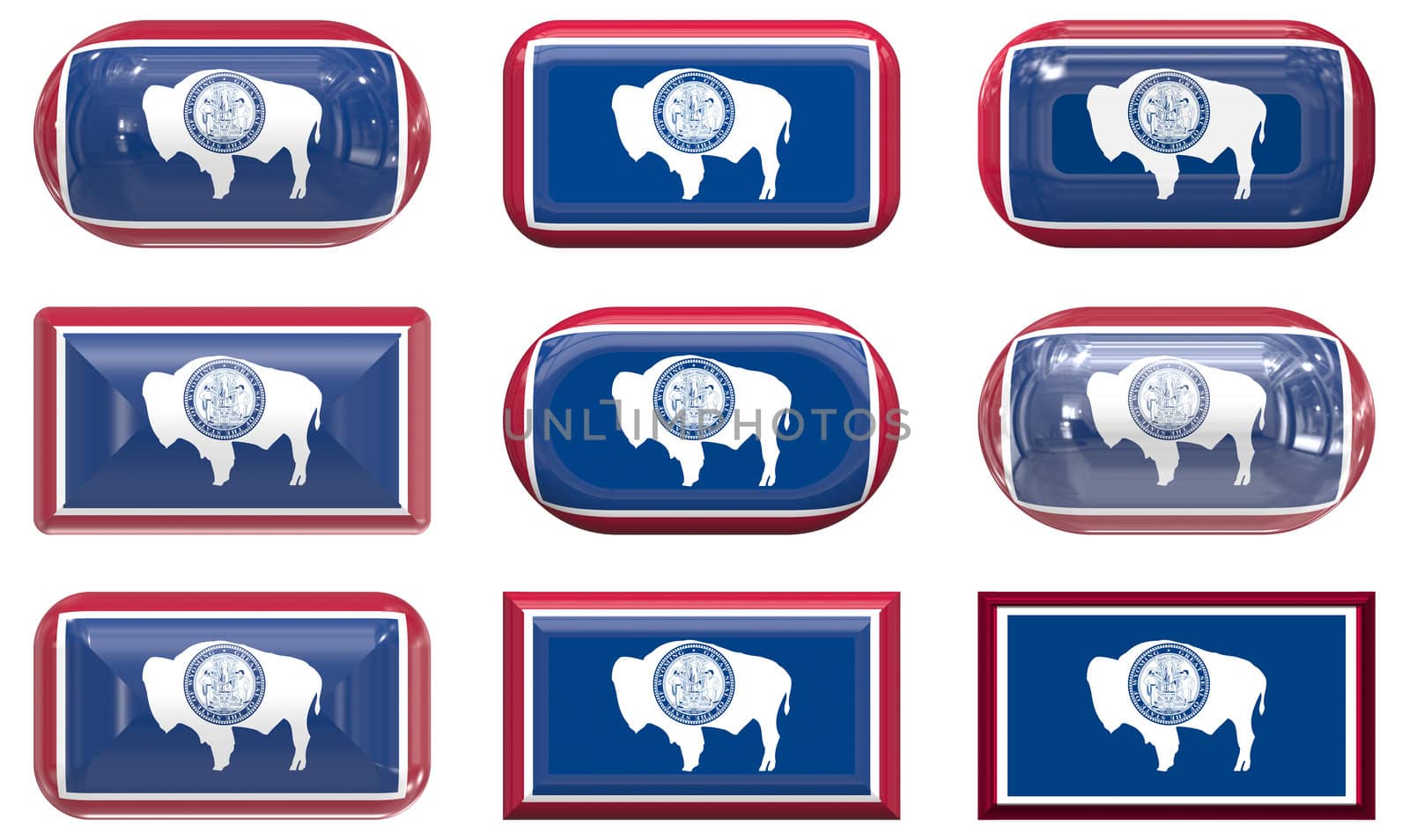 nine glass buttons of the  Flag of Wyoming