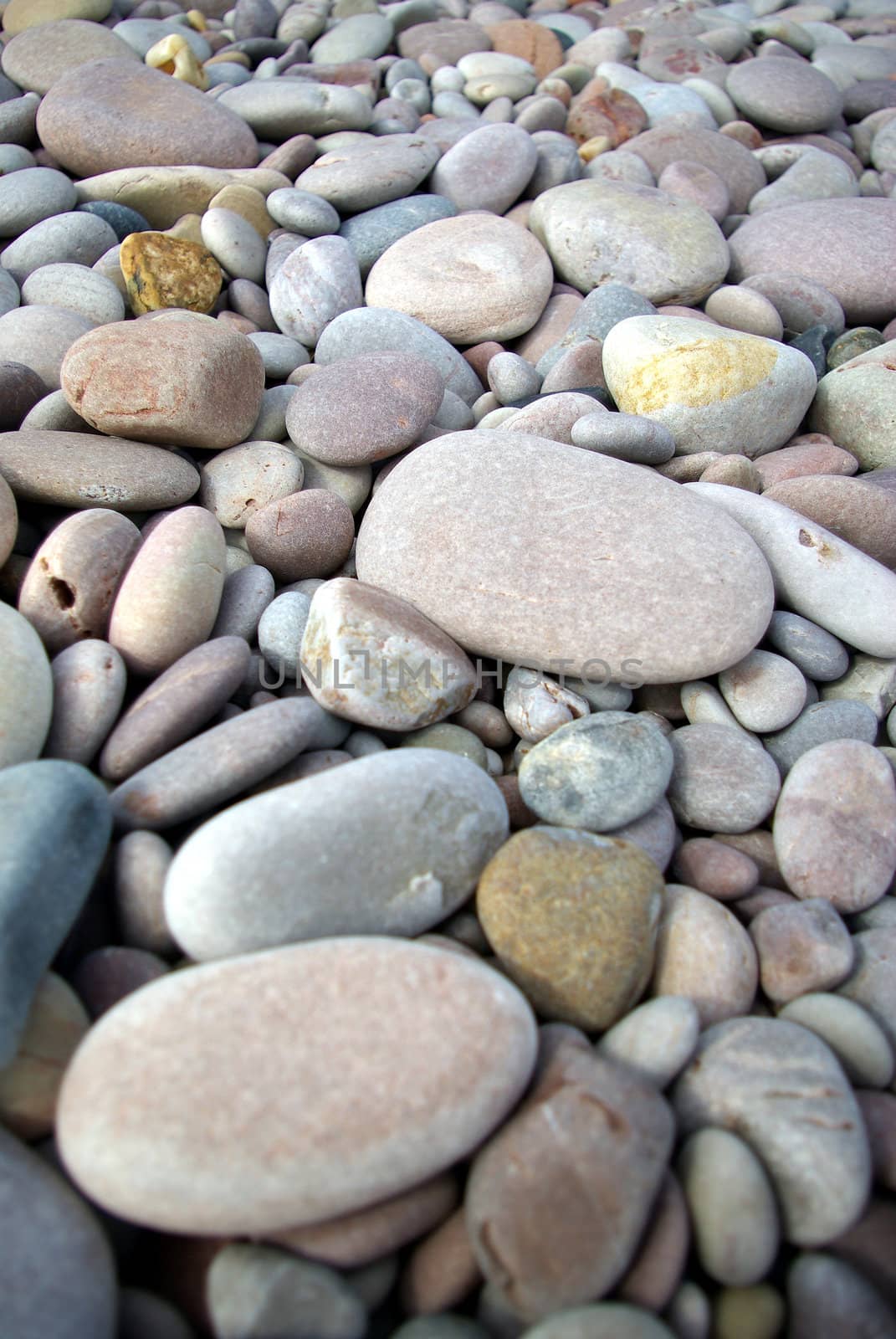 Close-up of some pebbles on a beach in Devon