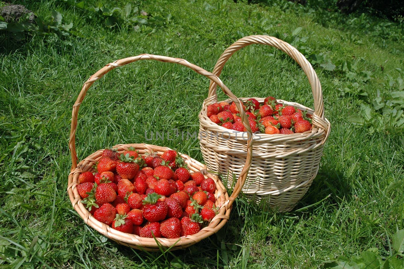 Strawberry Baskets by OlgaDrozd