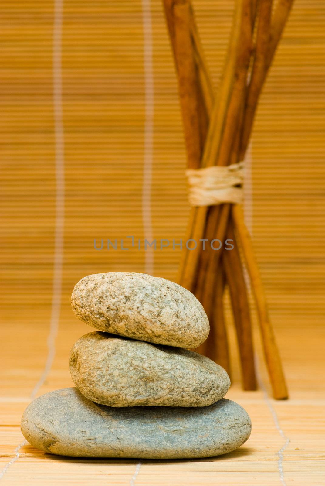 still life with three shingle and cinnamon