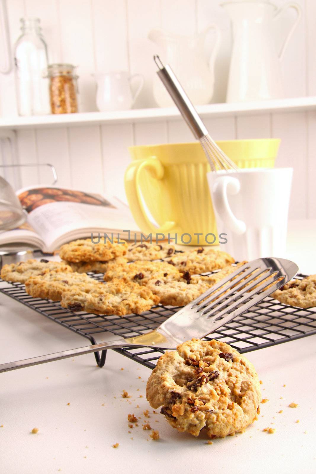 Freshly baked oatmeal raisin cookies on cooling rack