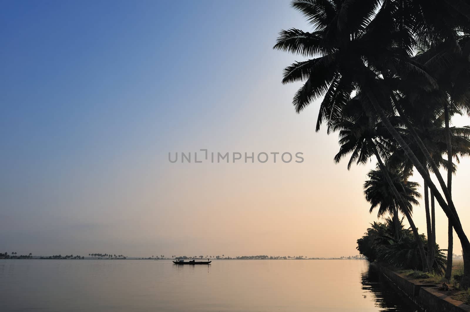 Silhouettes of palm trees in the lagoon of ocean