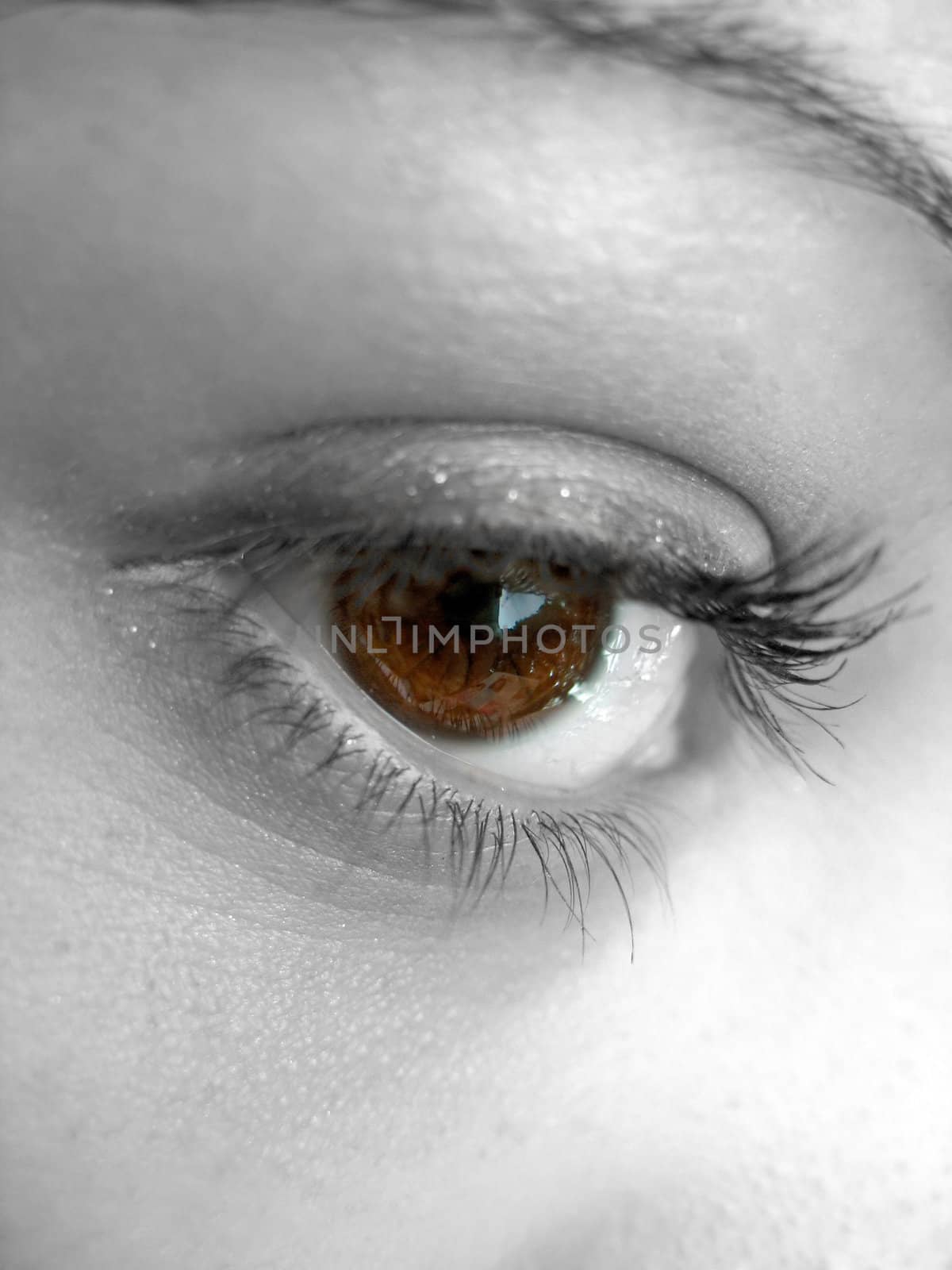 A macro shot of a pretty woman's brown eye with selective color.