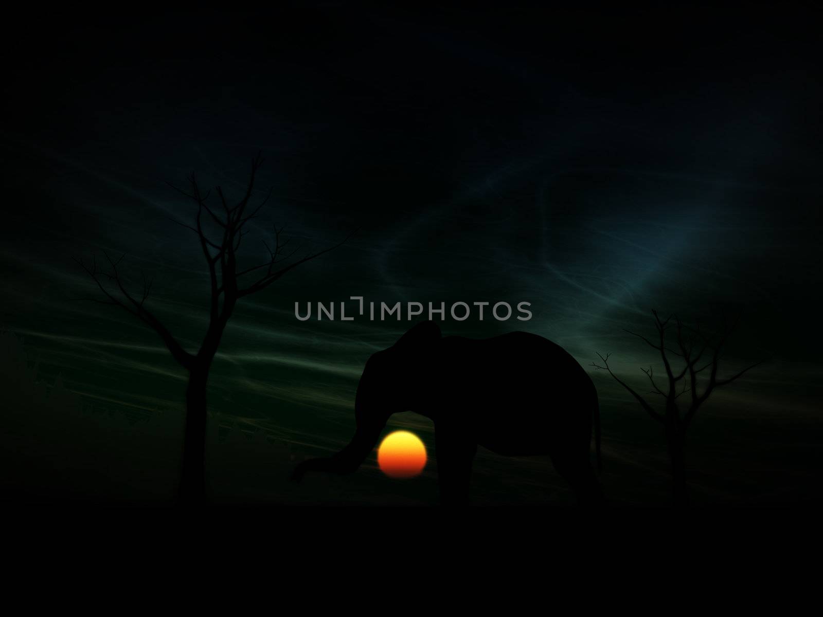 An image of an elephant silhouette with a African sky background.