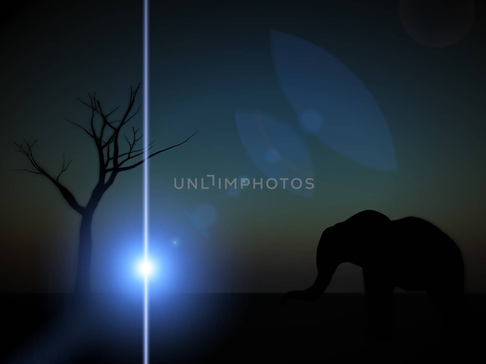 An image of an elephant silhouette with a African sky background.