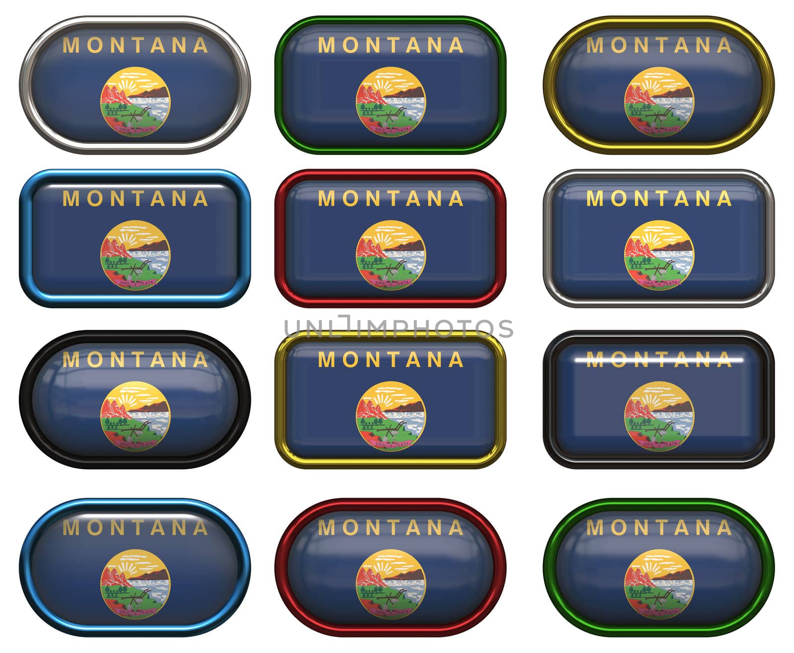 twelve Great buttons of the Flag of Montana