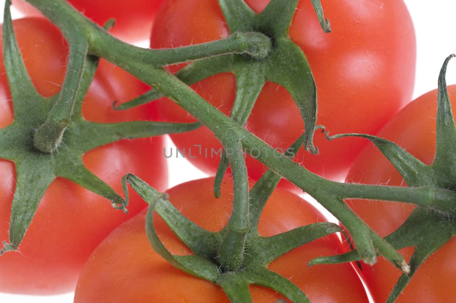 great image of some fresh and juicy tomatoes