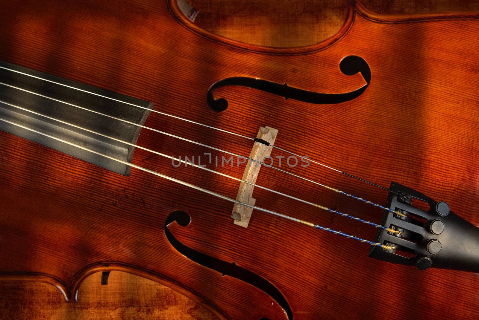 great image of a cello or violin