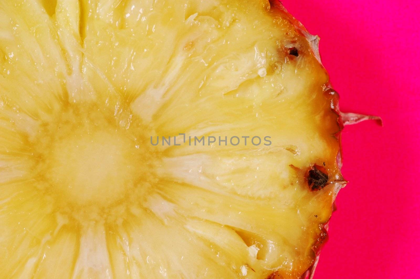 Brite tatsty pineapple slice