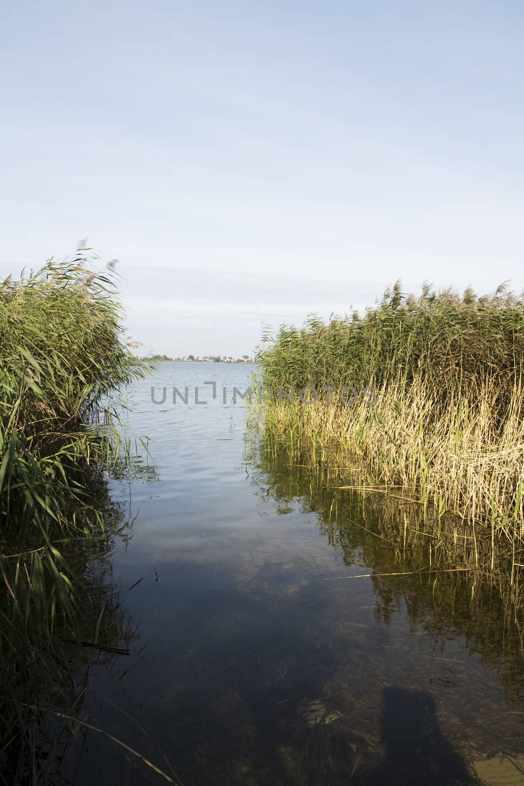 Gateway to the lake. Lithuania landscape