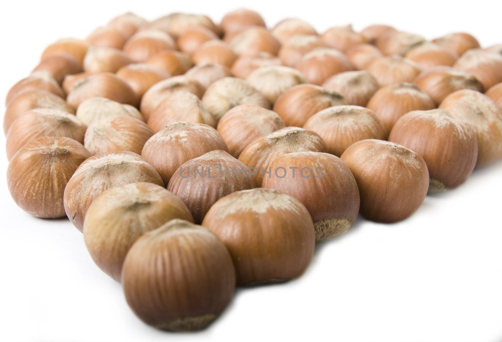 Selection of hazelnuts isolated on white background