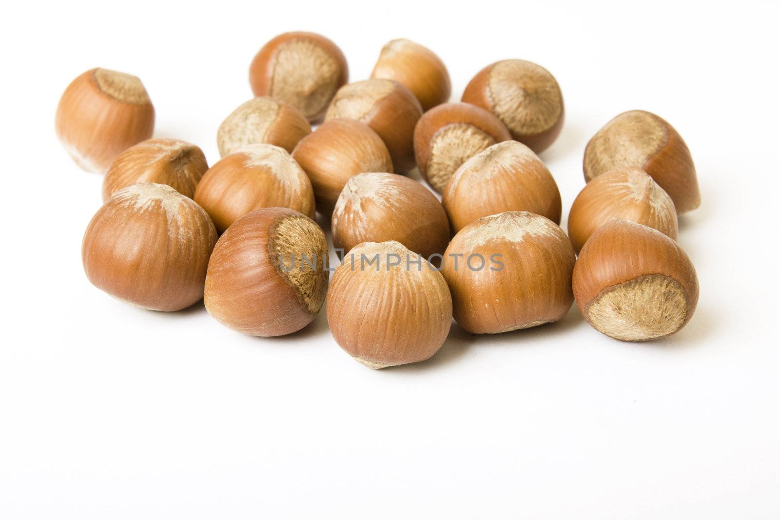 Hazelnuts isolated on white background