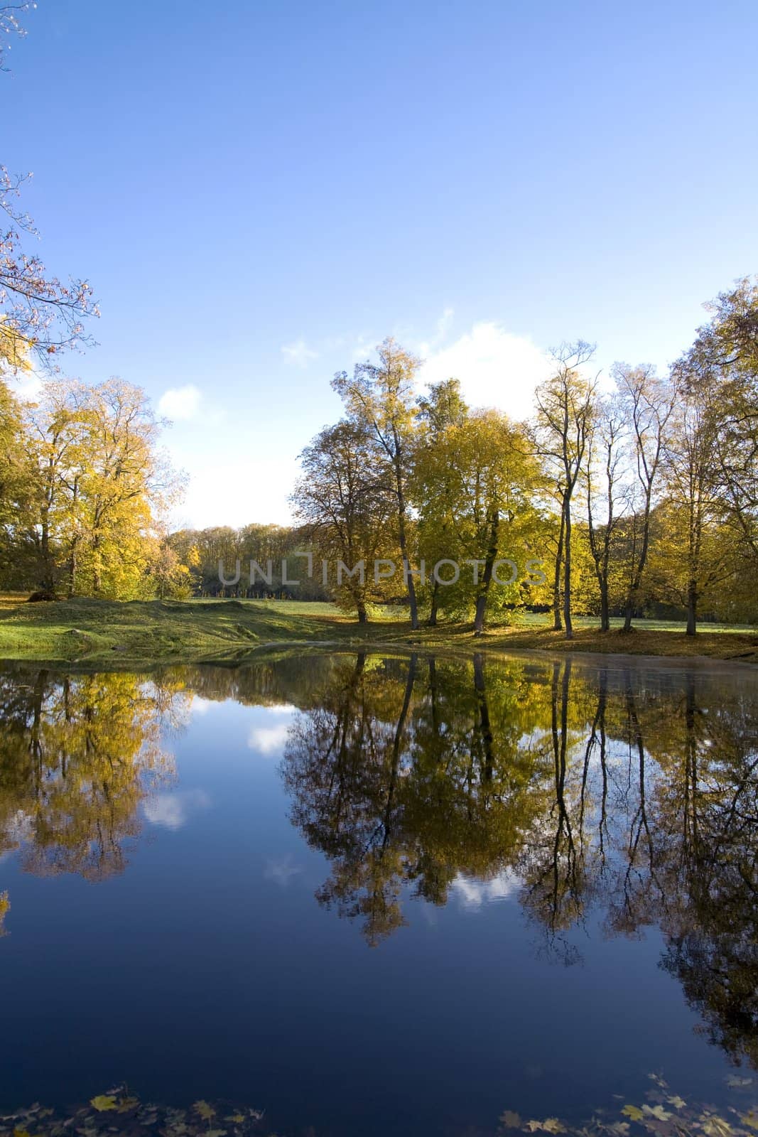 Fall colors in Paezeriai park. Lithuania