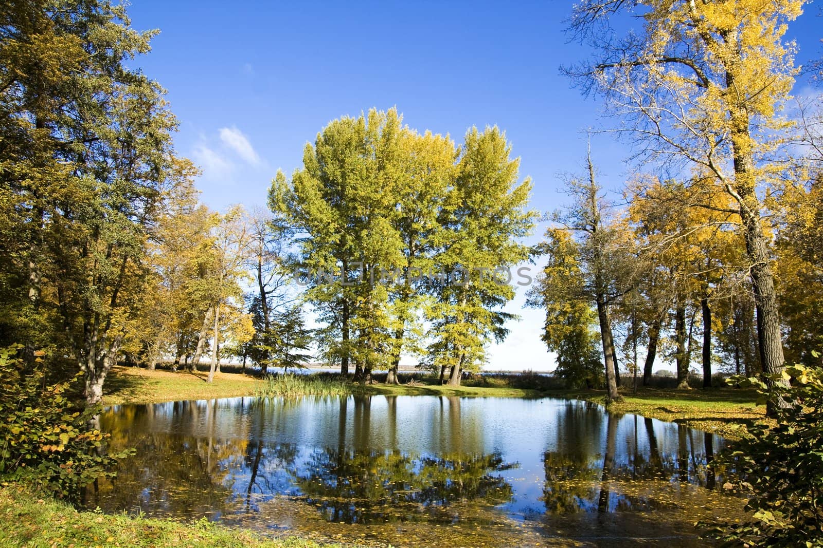 Fall colors in Paezeriai park. Lithuania