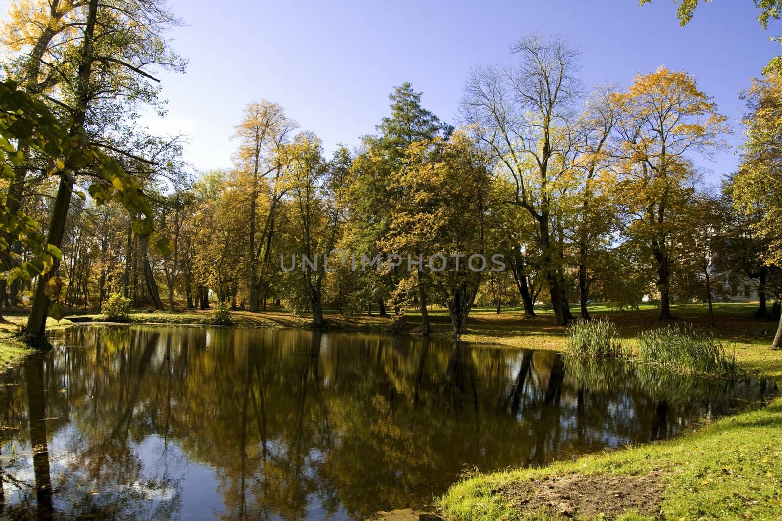 Fall colors in Paezeriai park. Lithuania