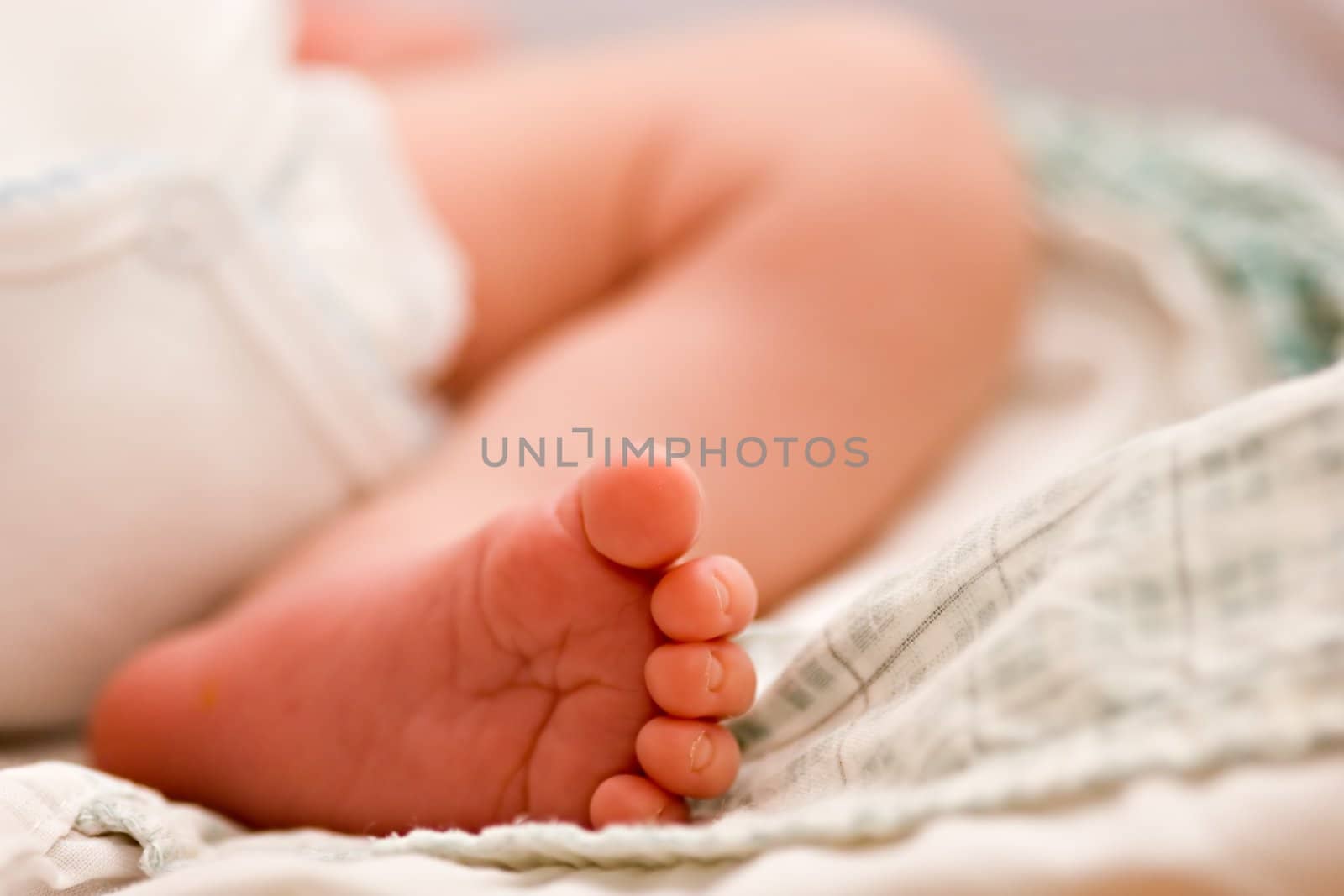 Close up of baby foot. Shallow depth of field.