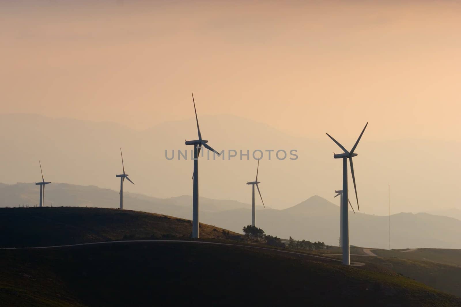 Wind Turbine Farm at Sunset