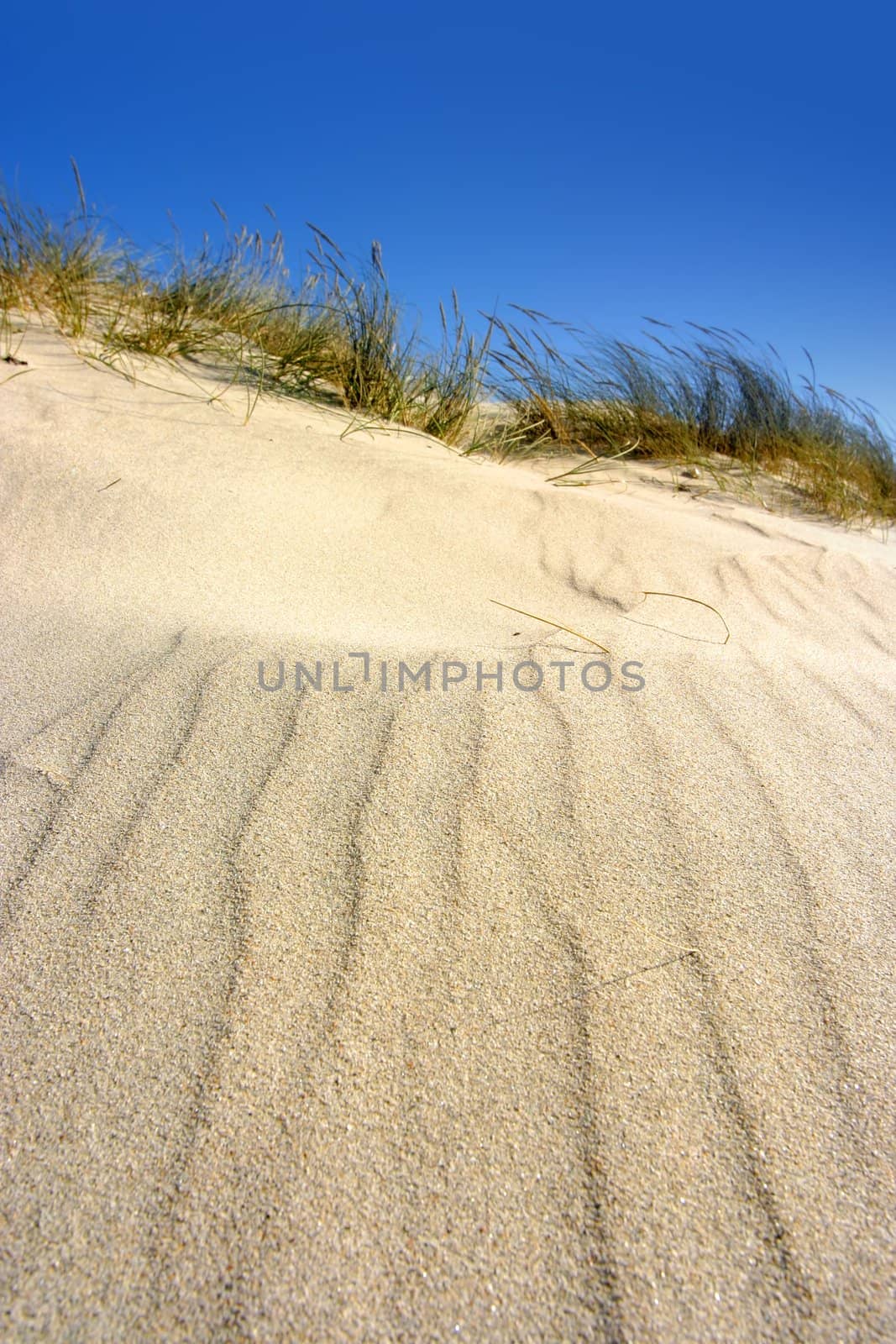 Sand texture at the beach