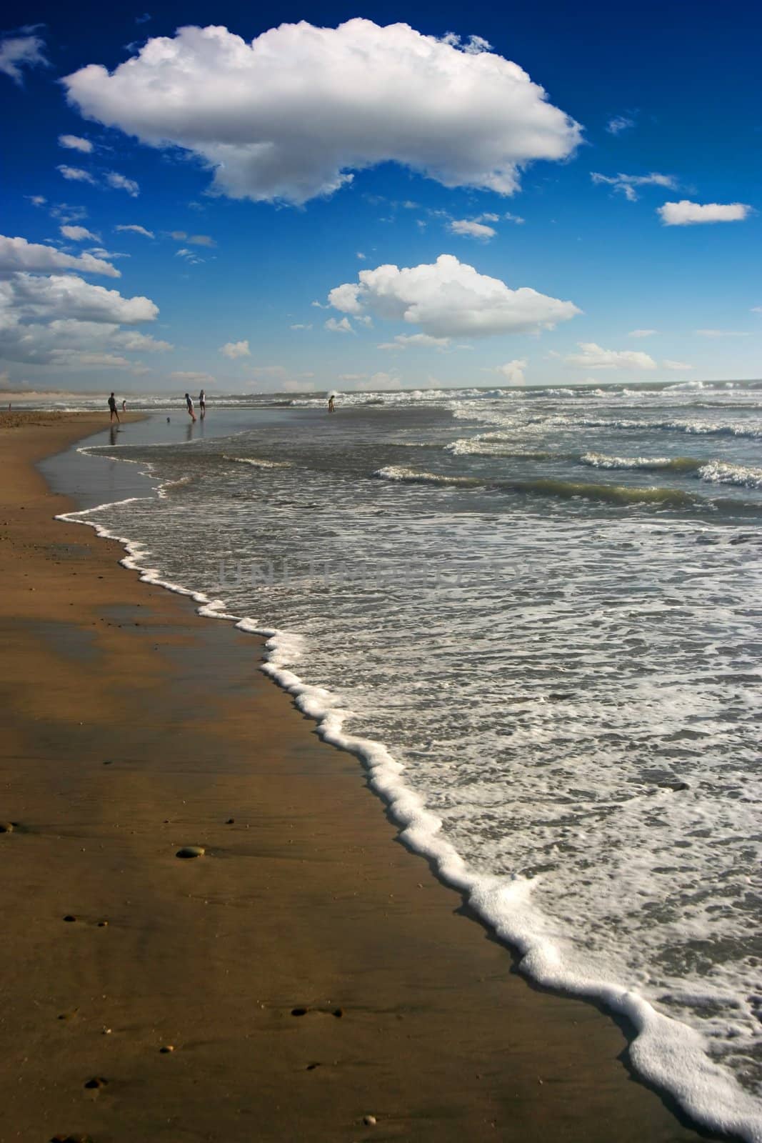 Foam wave at the beach, with deep blue sky and fluffy clouds