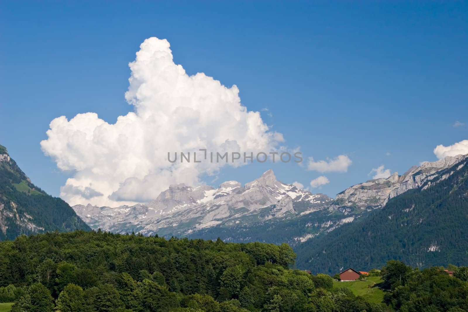 Swiss spring landscape. Fields, woods, mountains and blue sky with big white cloud