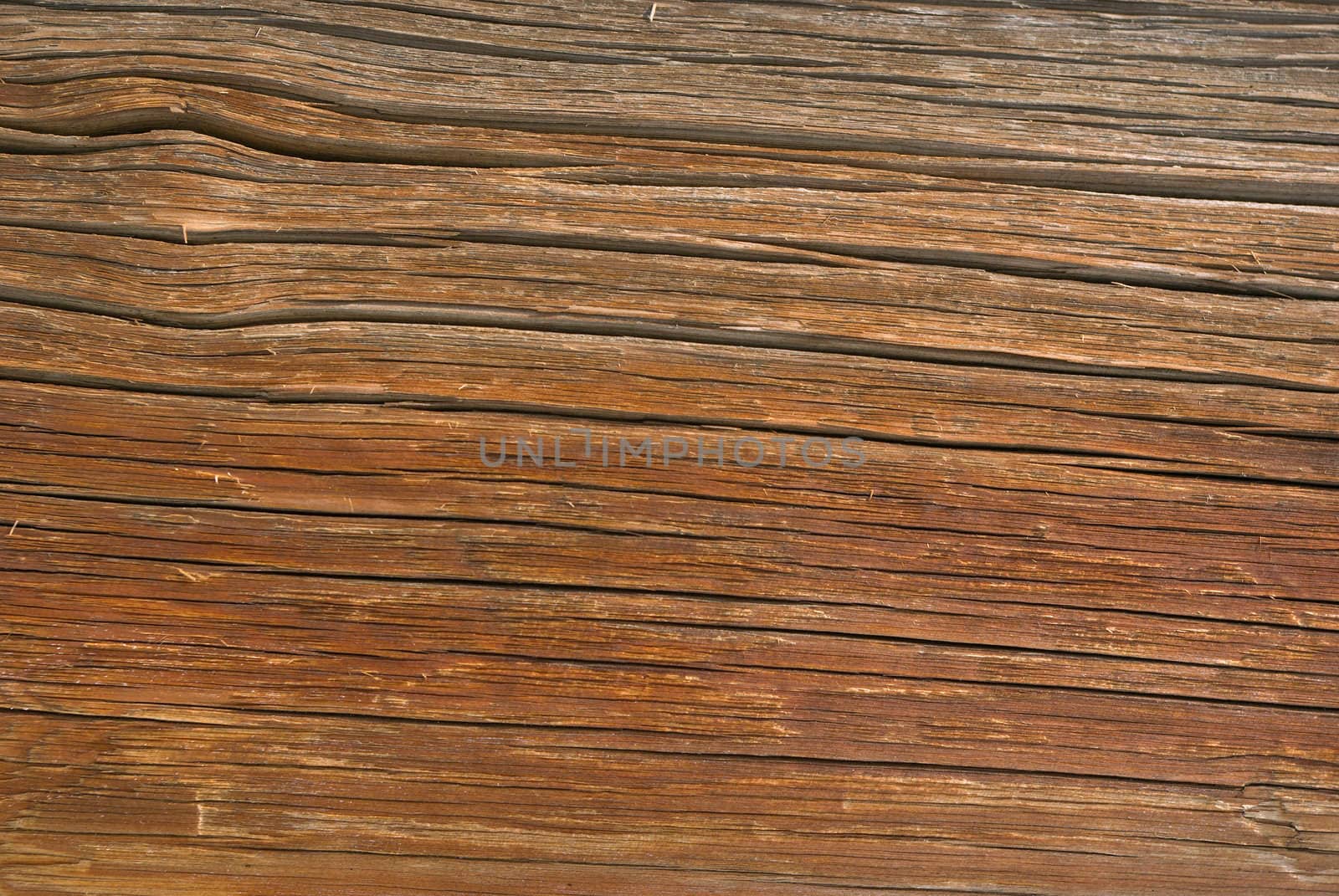 Wood texture background,OLD LOG