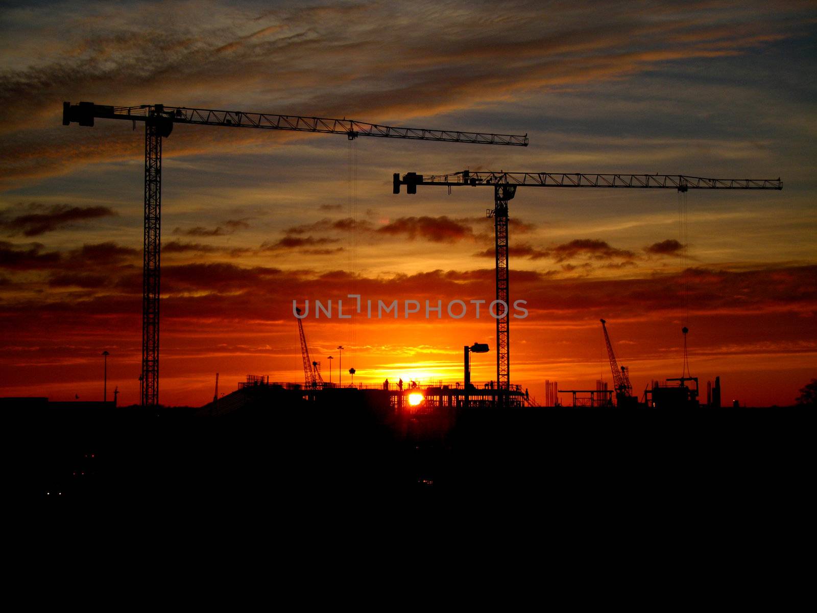 Cranes and red sky by tommroch