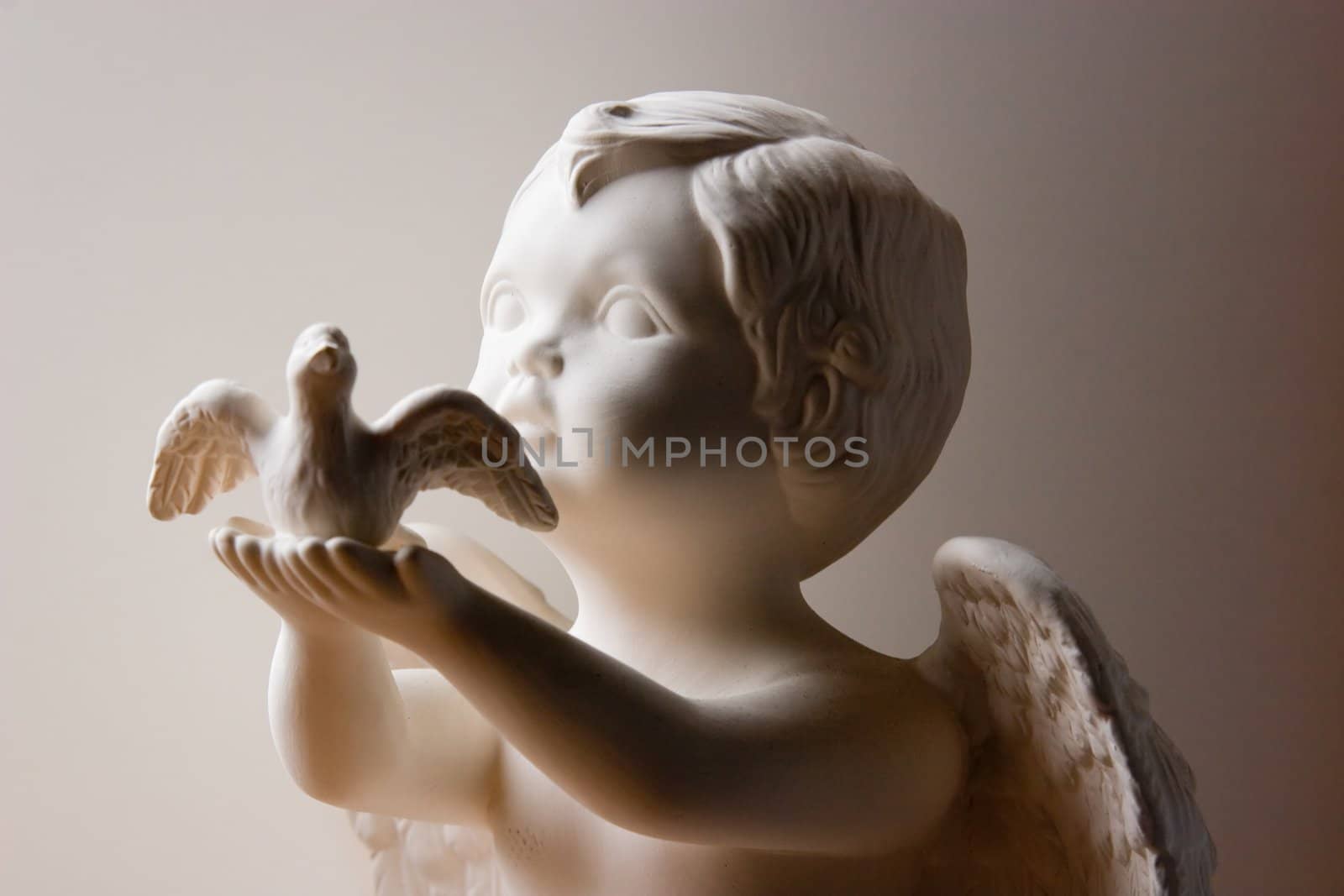 Angel and Dove on white background