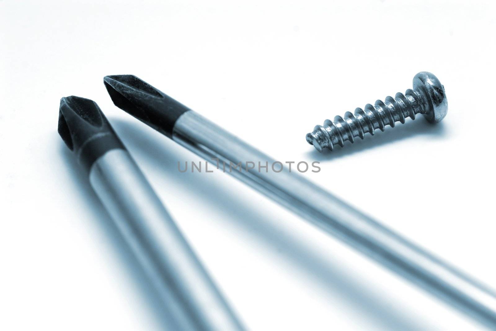 Screw and screwdrivers on white background