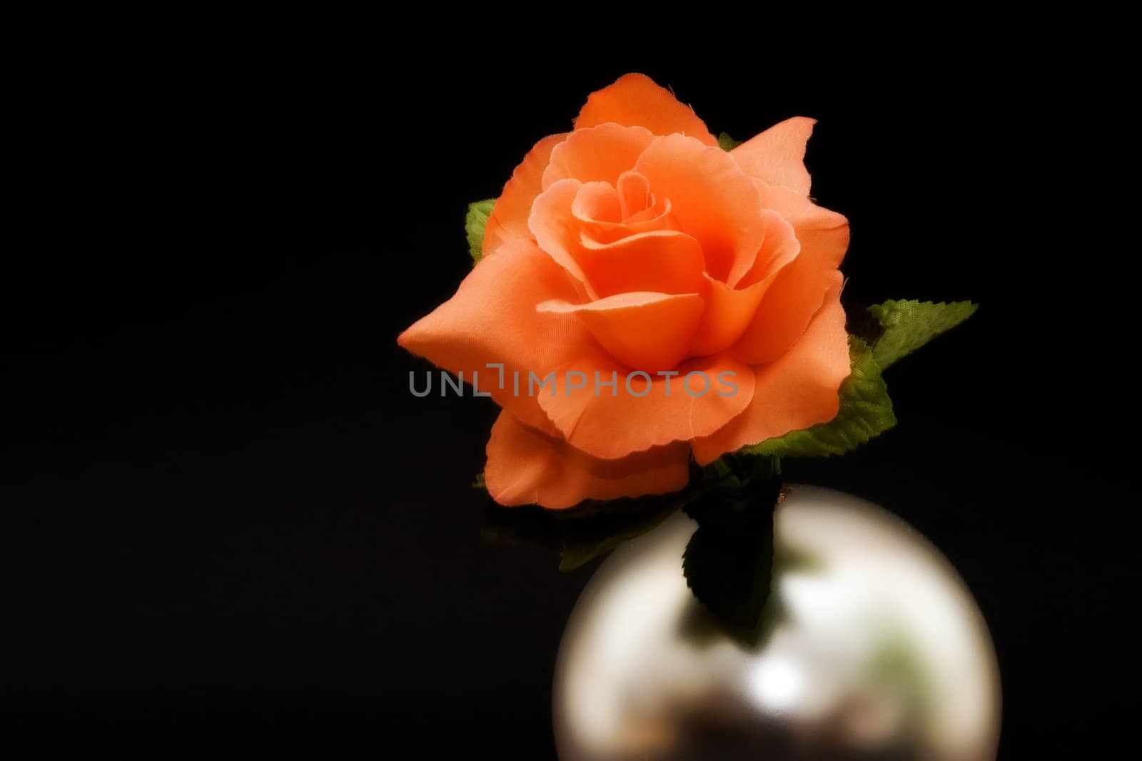 Orange rose in silver globe on black background