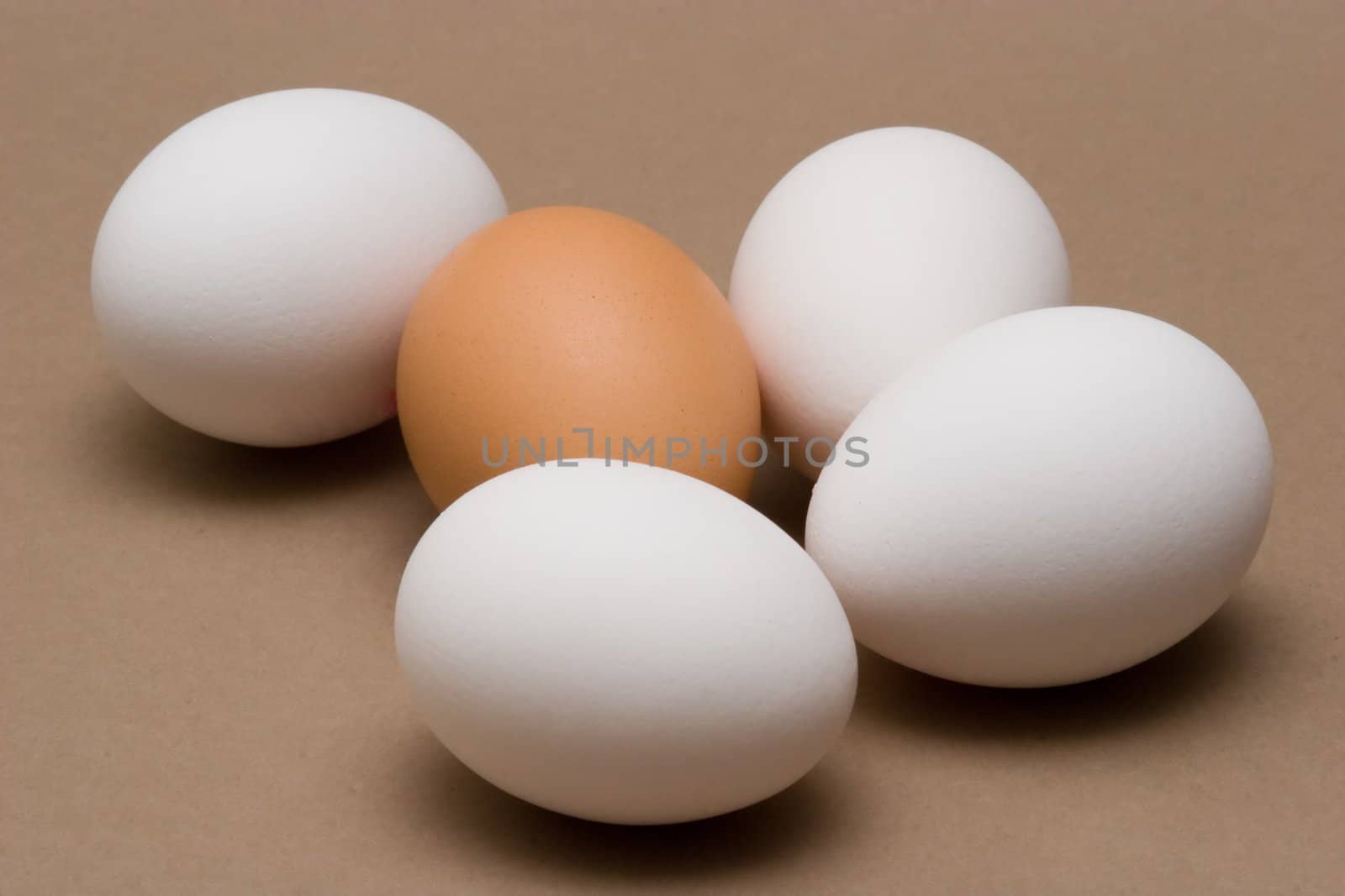 White and Brown Eggs 