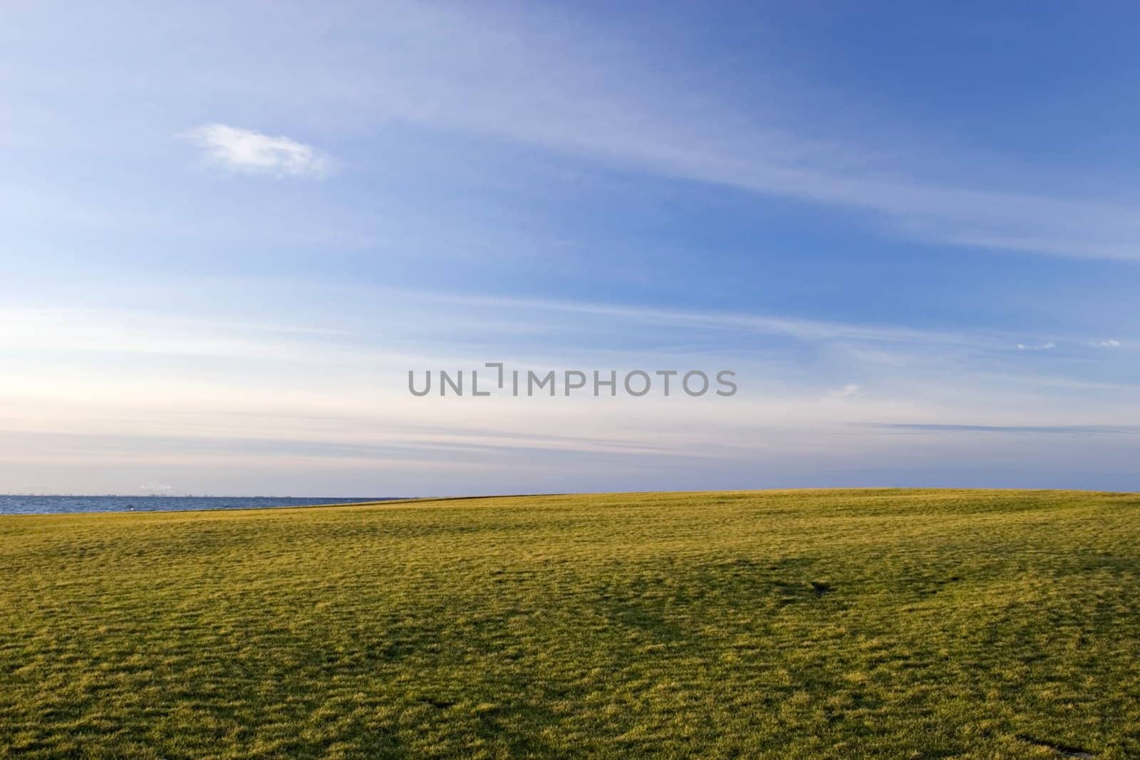 Green Field by ajn