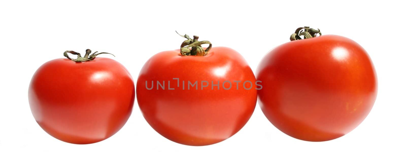 Ripe tomato on a white background.