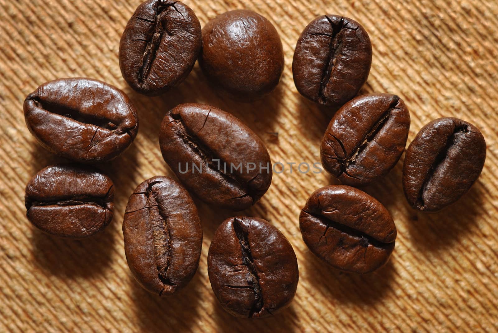 coffee beans by casaalmare