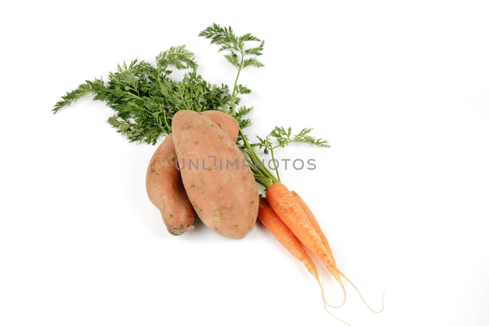 Bunch on raw crunchy carrots on a reflective white background