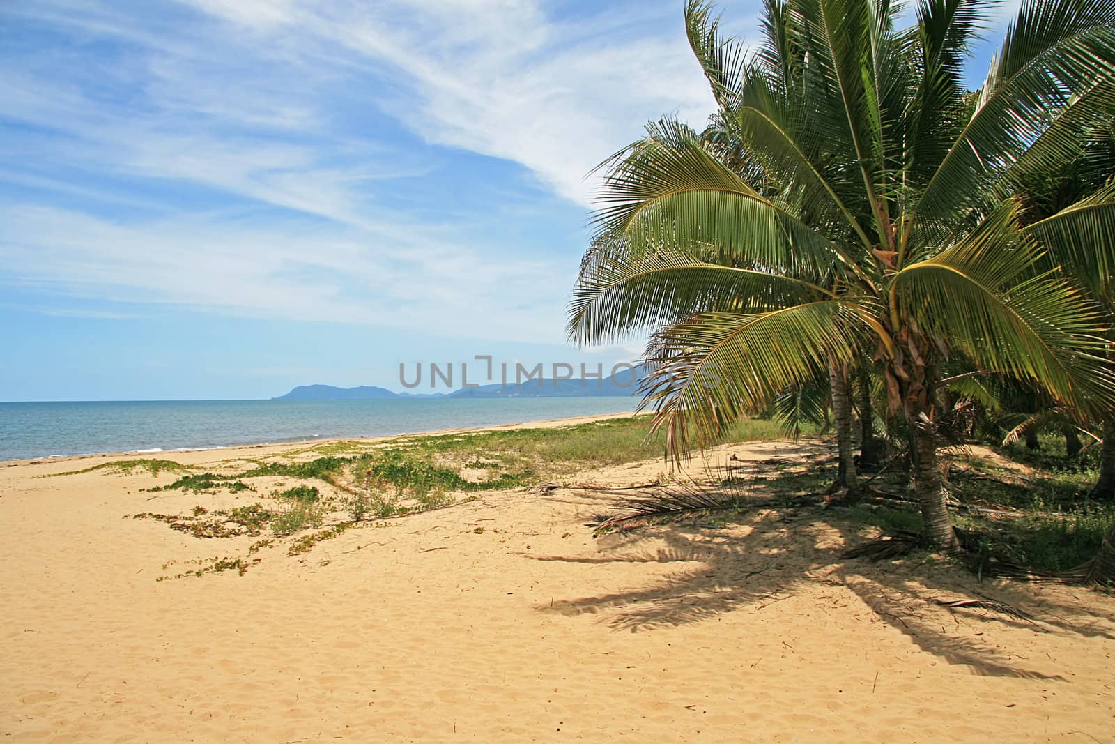 Yorkeys Knob Beach in Far North Queensland