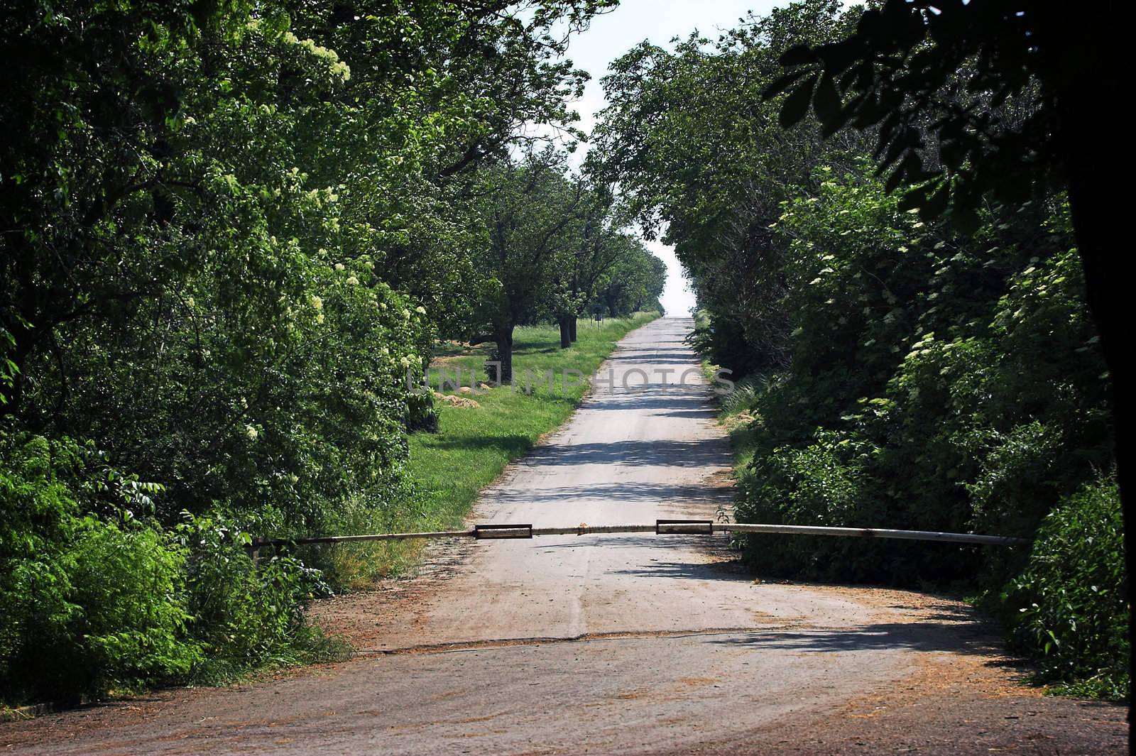 road in countryside by alexkosev