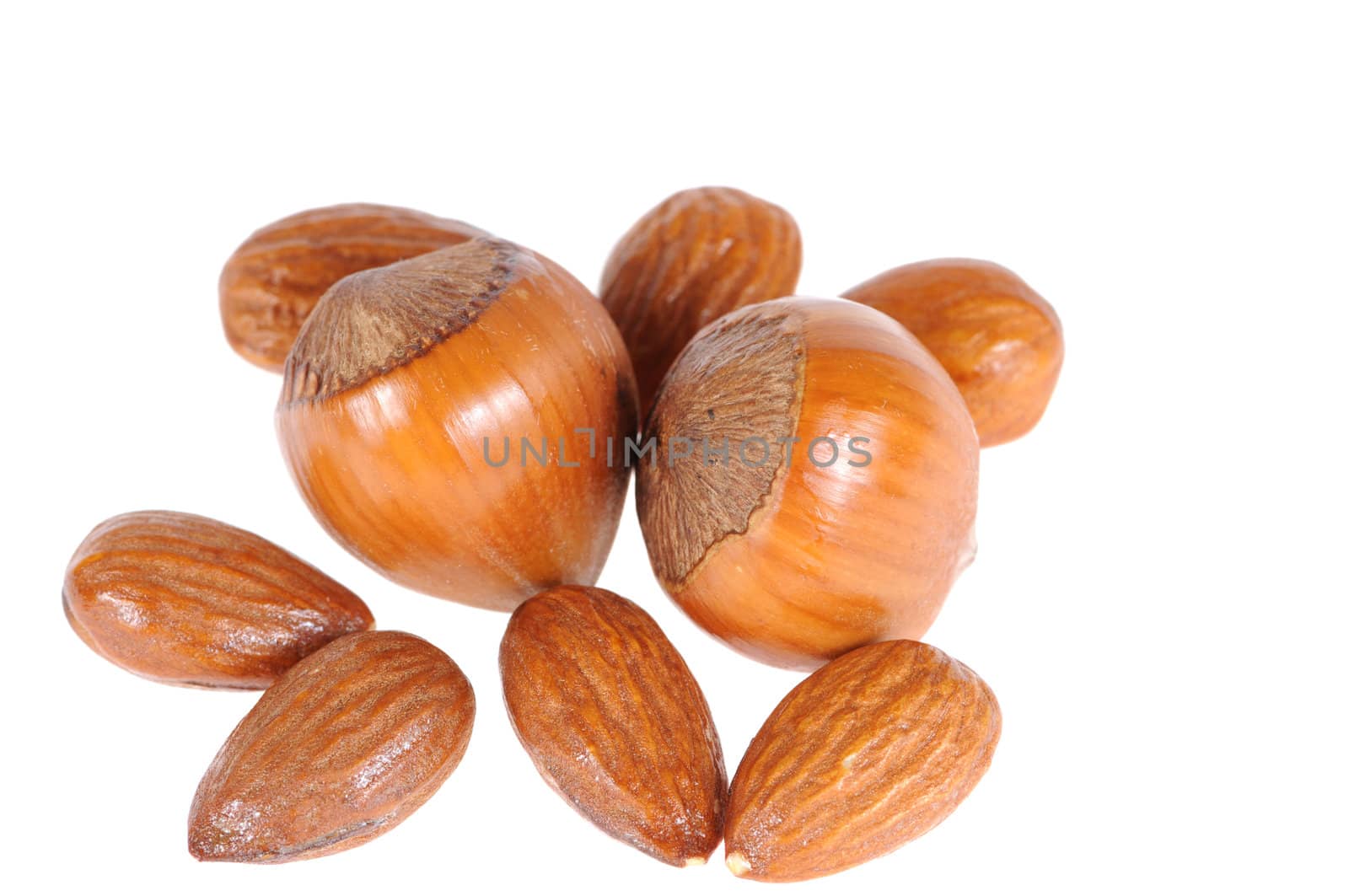 hazelnuts and almond isolated on white background