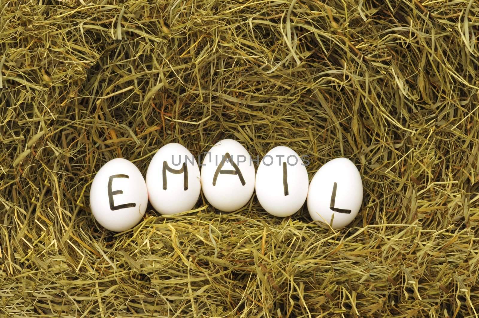 mail or email internet concept with eggs on hey or strew
