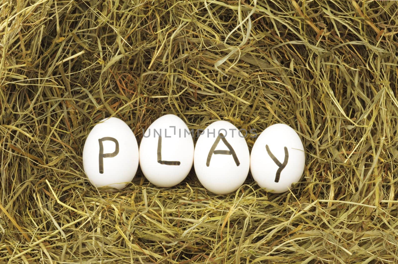 play or start concept with eggs on straw or hey