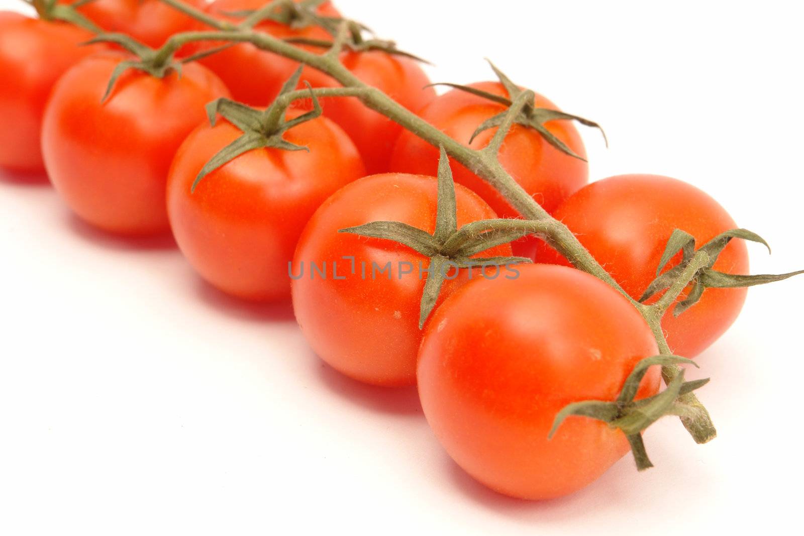 group of tomatoes by bakalusha