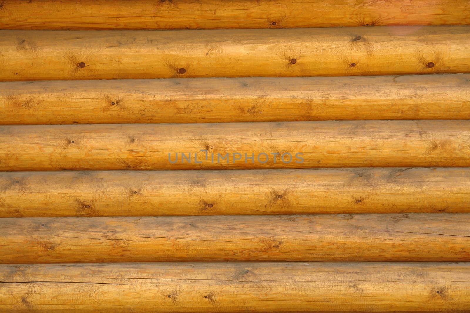 Closeup details of the wood wall                               